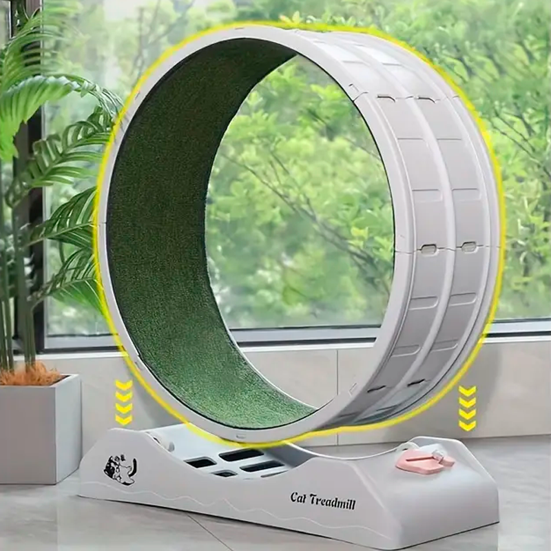 Whisker Wheels™ - Indoor Cat Exercise Wheel for Health & Happiness
