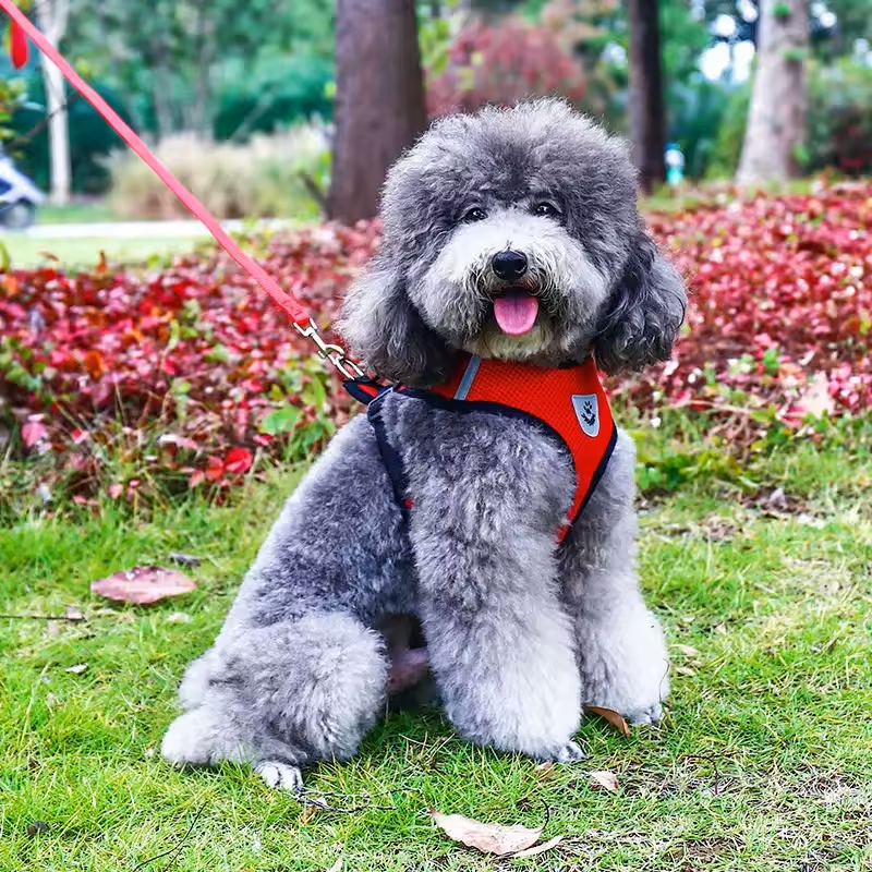 CloudComfort™ Reflective Mesh Harness & Leash Set – Safe, Comfy Walks for Small Dogs & Cats