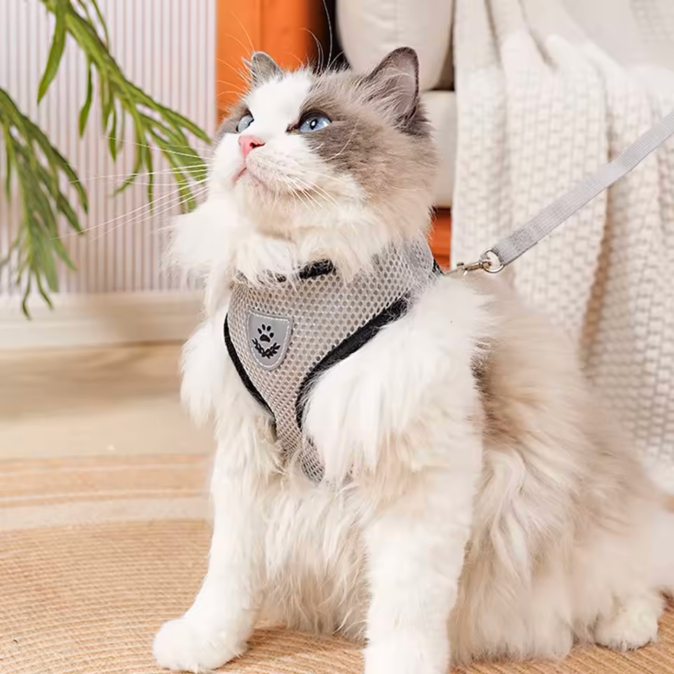 CloudComfort™ Reflective Mesh Harness & Leash Set – Safe, Comfy Walks for Small Dogs & Cats