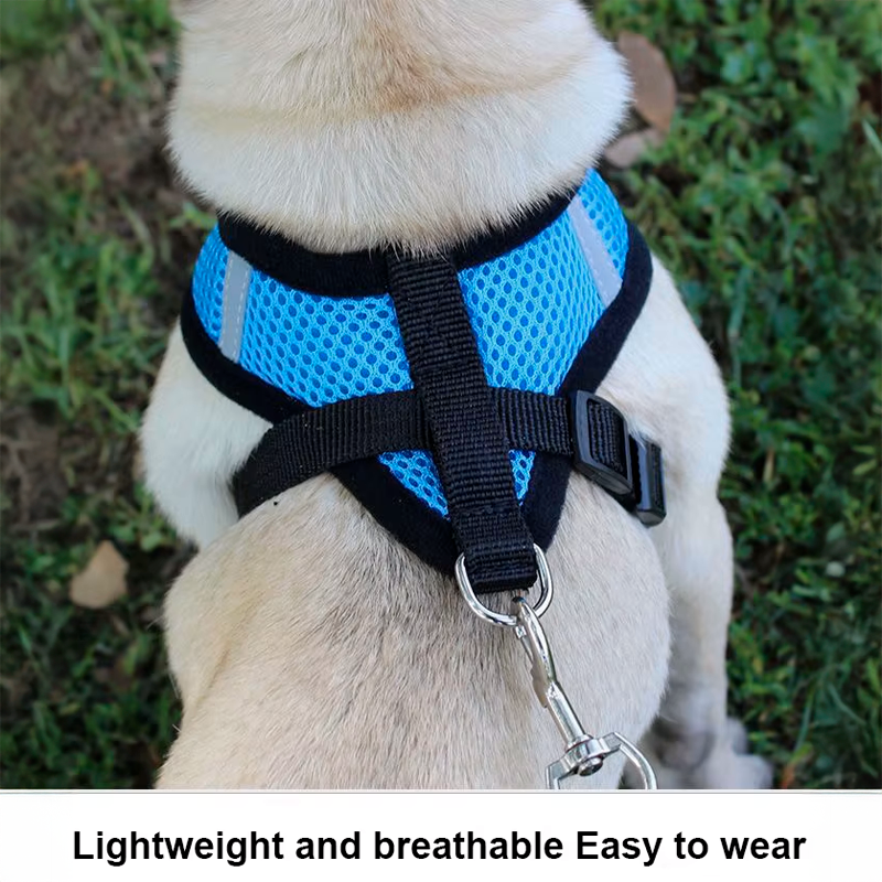 CloudComfort™ Reflective Mesh Harness & Leash Set – Safe, Comfy Walks for Small Dogs & Cats