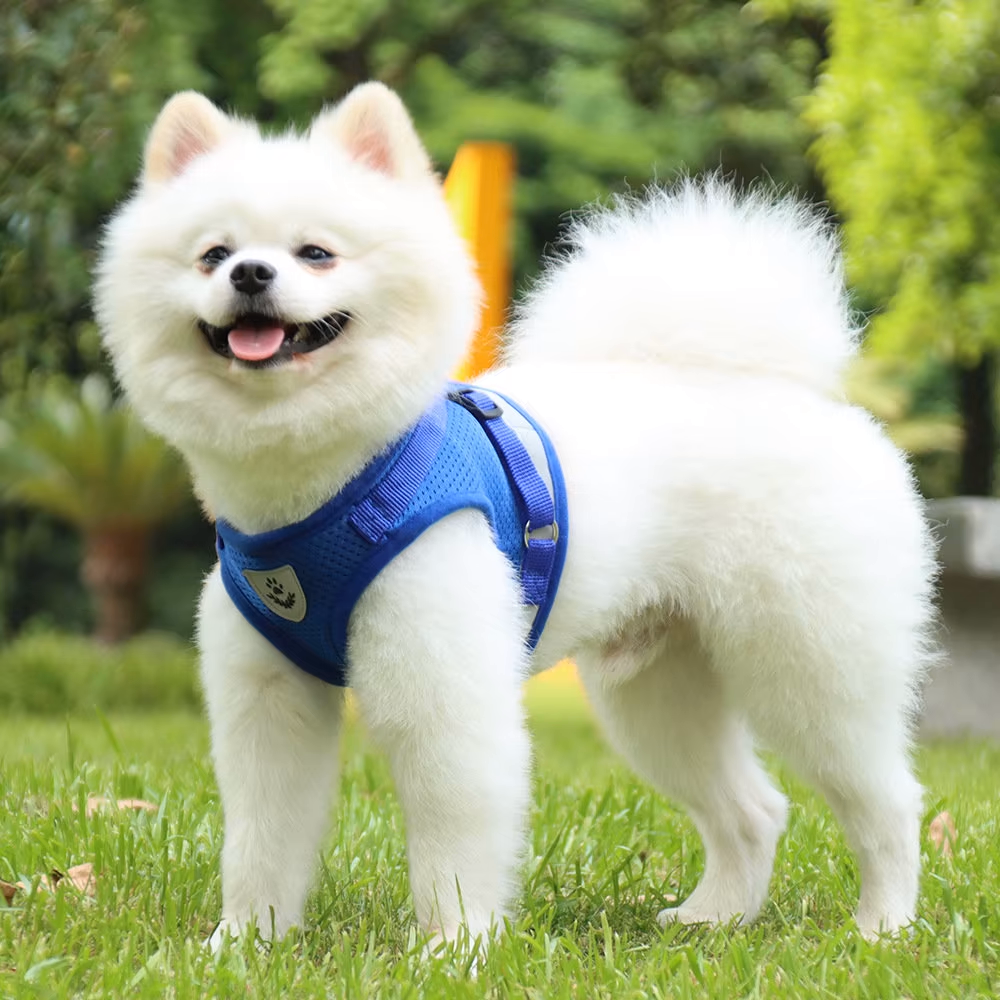 CloudComfort™ Reflective Mesh Harness & Leash Set – Safe, Comfy Walks for Small Dogs & Cats
