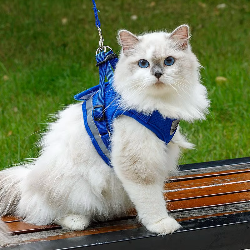 CloudComfort™ Reflective Mesh Harness & Leash Set – Safe, Comfy Walks for Small Dogs & Cats