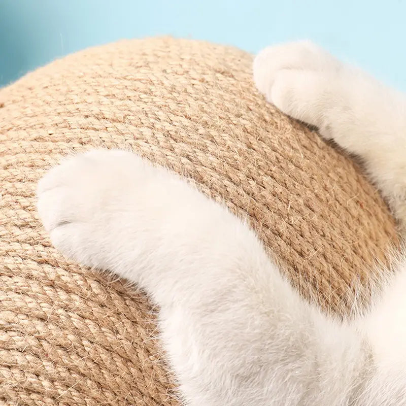 CloudPet™ Rolling Joy: Eco-Friendly Sisal Scratcher for Happy Cats