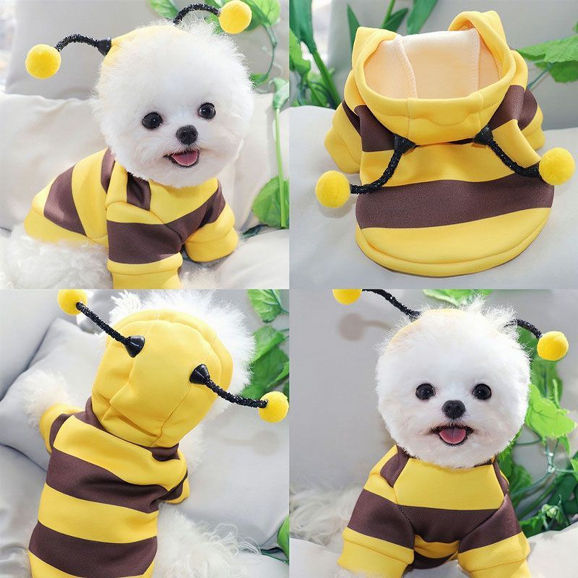 Buzzing Cuteness Bee Hoodie – Cozy & Adorable Costume for Your Fur Baby