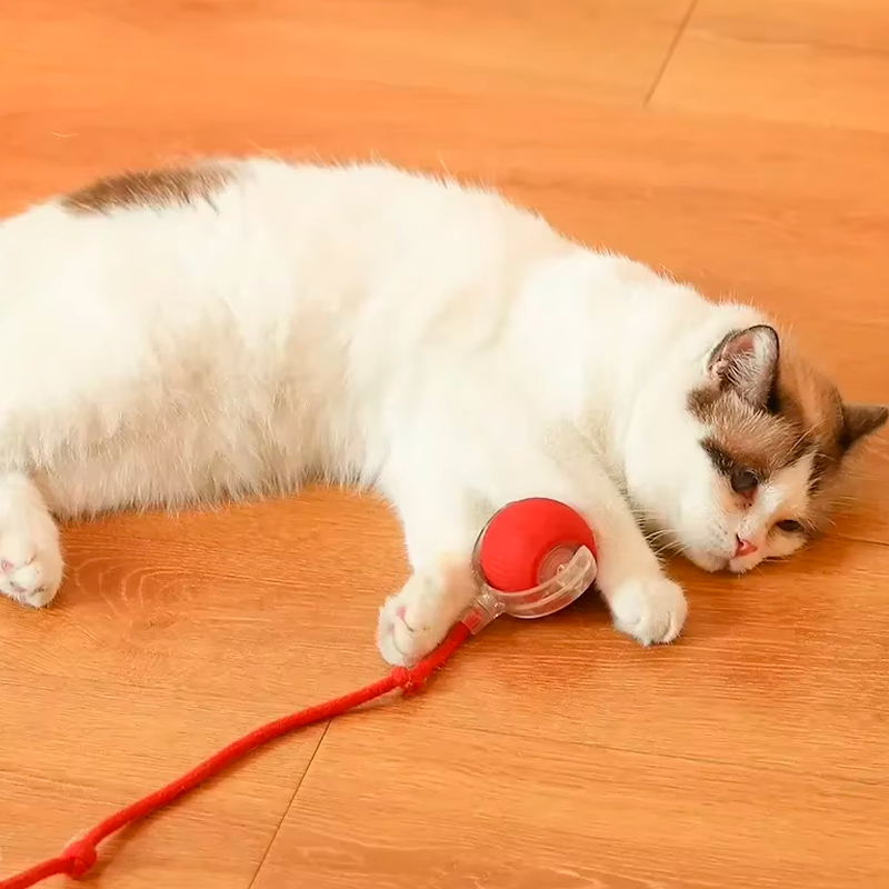 PawChase™ - Smart Rolling Ball for Cats & Small Dogs