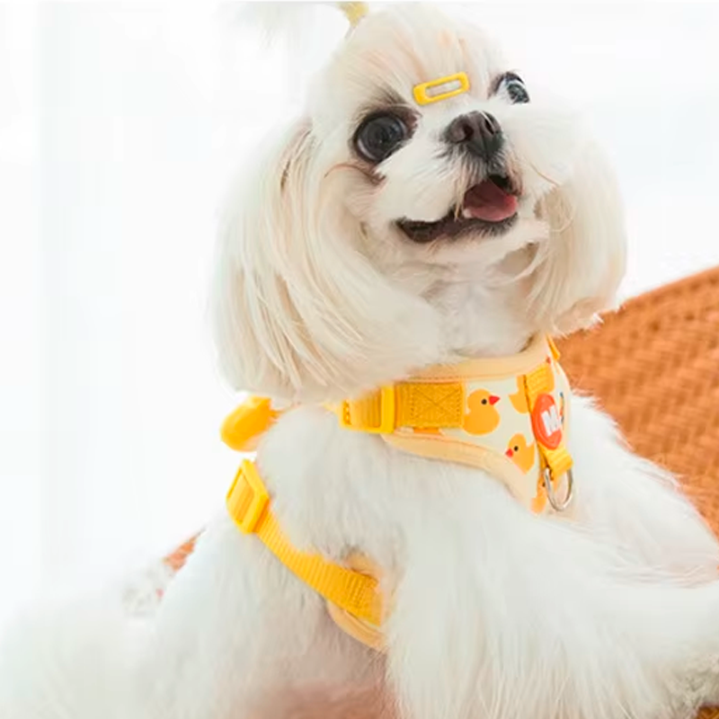CloudPet™ SnuggleBuddy Harness – Safe, Stylish & Cuddly Walks for Your Fur Baby