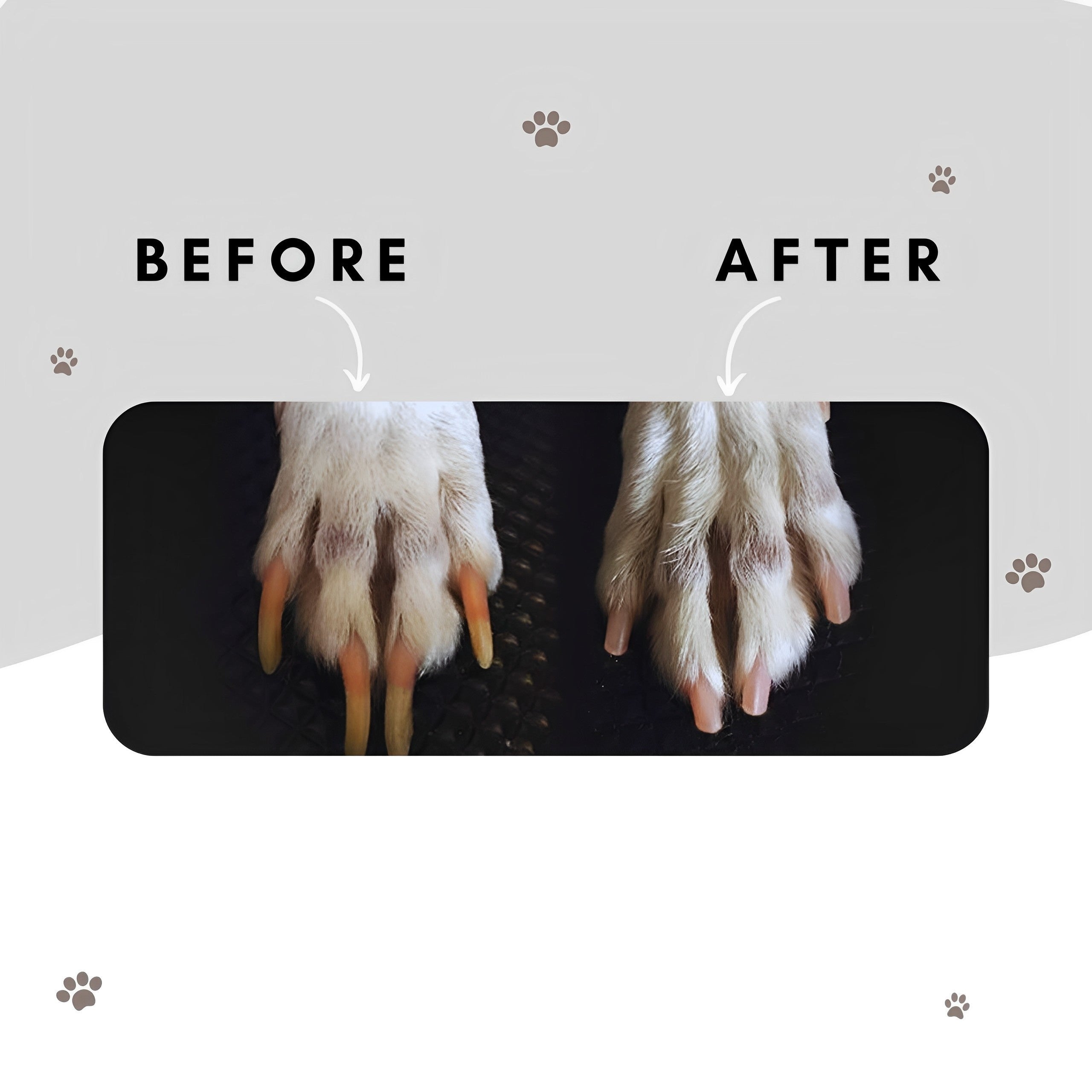 PawCare Pro™ – Silent Nail Groomer for Dogs & Cats