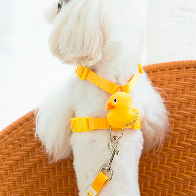 CloudPet™ SnuggleBuddy Harness – Safe, Stylish & Cuddly Walks for Your Fur Baby