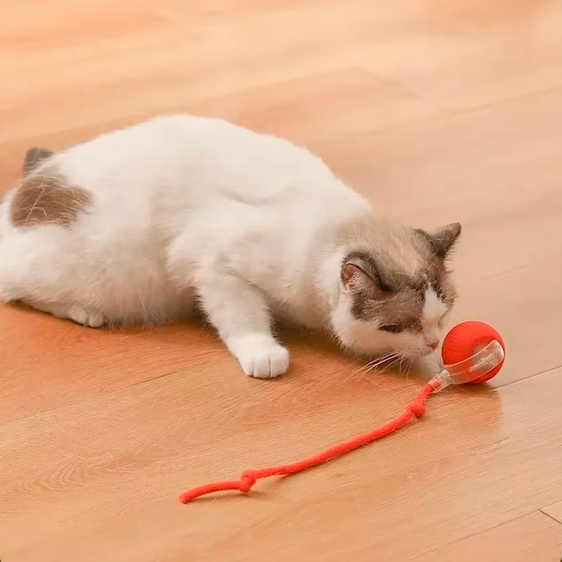 PawChase™ - Smart Rolling Ball for Cats & Small Dogs