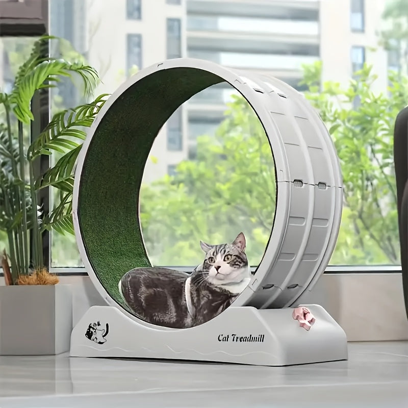 Whisker Wheels™ - Indoor Cat Exercise Wheel for Health & Happiness
