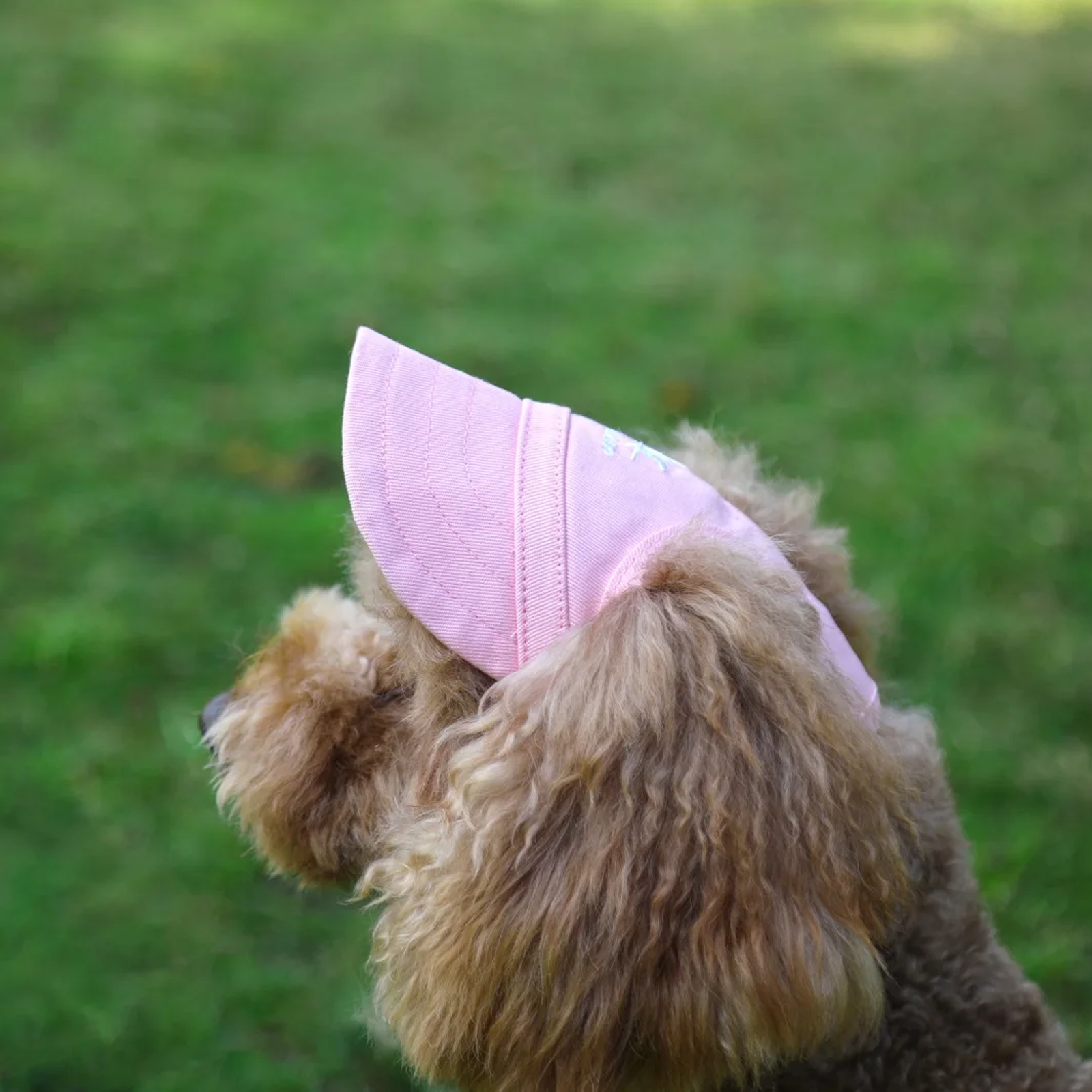 PawShade™ Dog Sun Hat – Stylish Outdoor Protection for Your Fur Baby