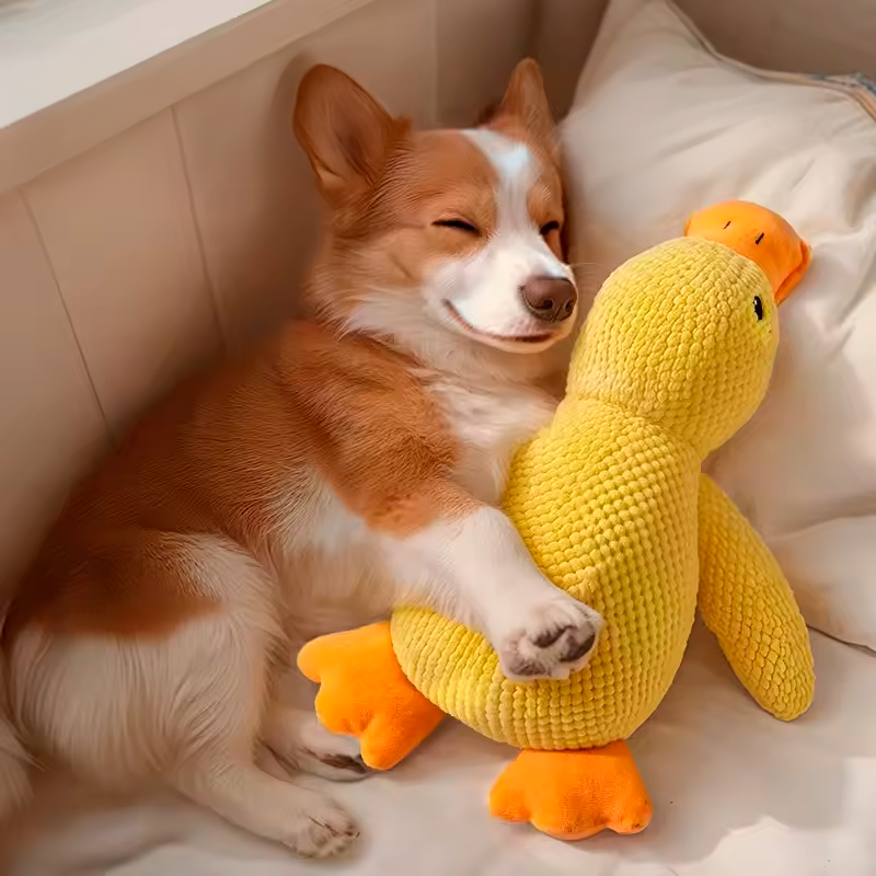 SnuggleDuck™ – Plush Sleep Buddy for Dogs