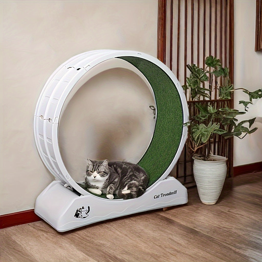 Whisker Wheels™ - Indoor Cat Exercise Wheel for Health & Happiness