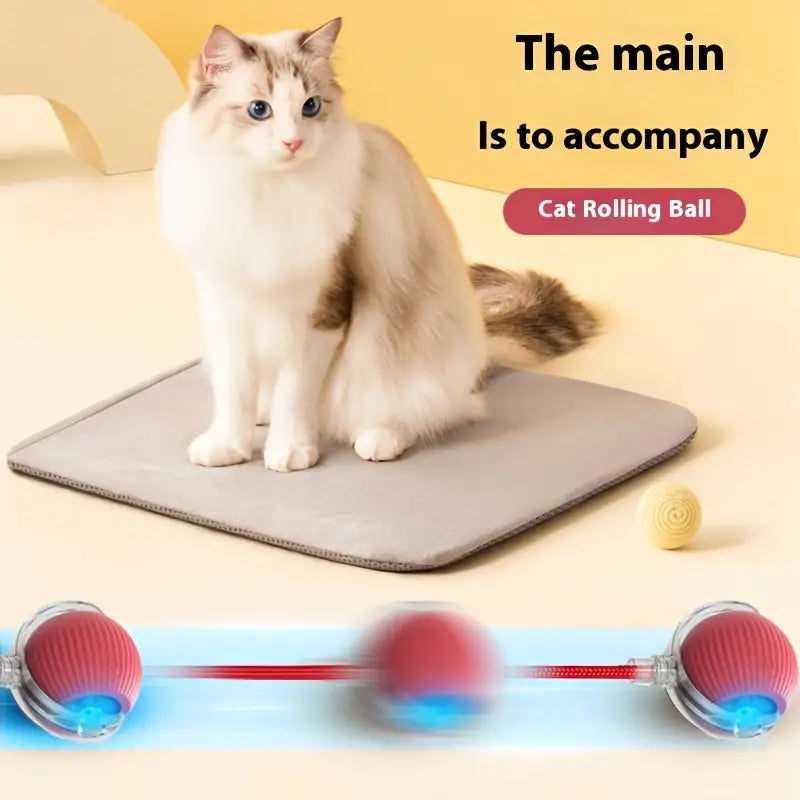 PawChase™ - Smart Rolling Ball for Cats & Small Dogs