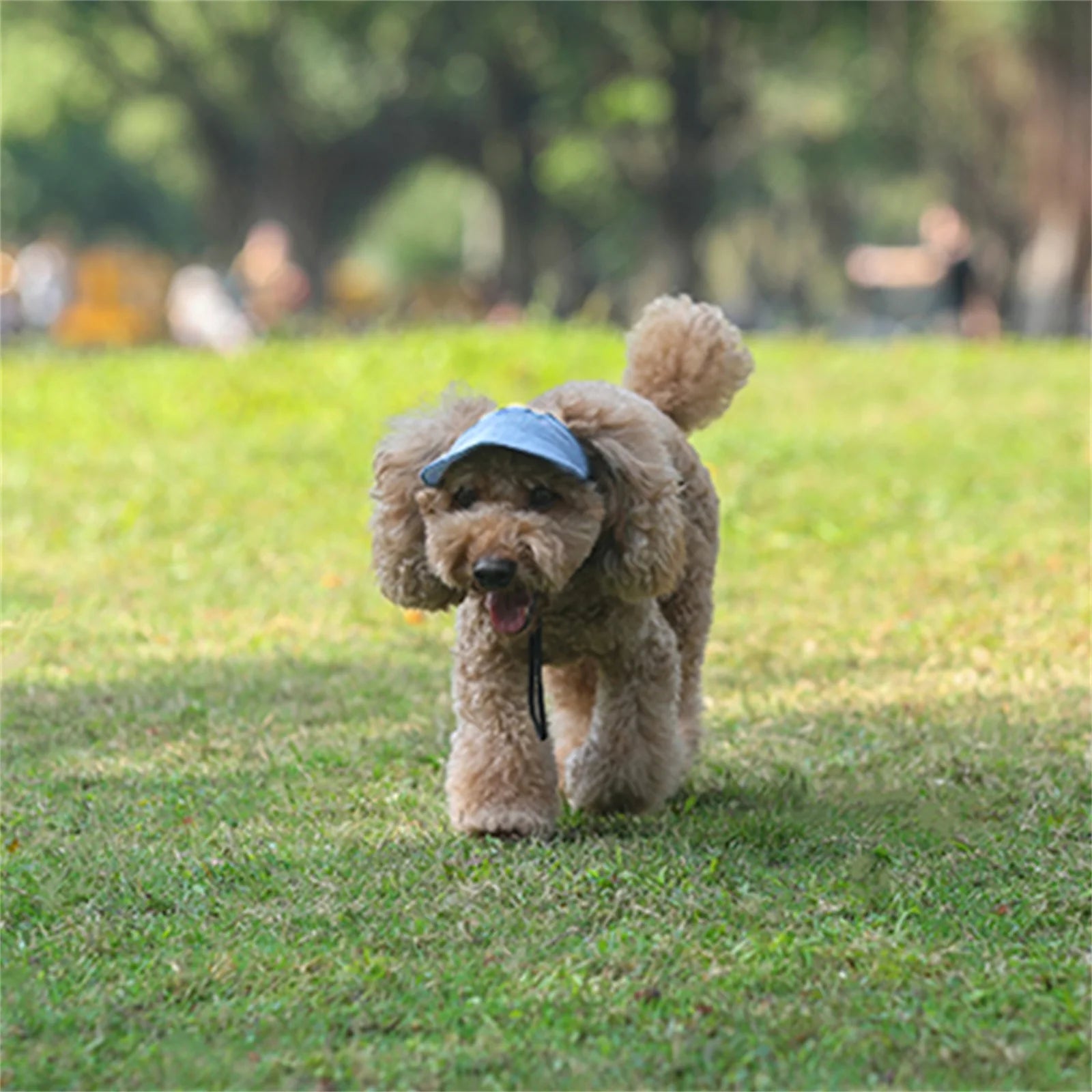 PawShade™ Dog Sun Hat – Stylish Outdoor Protection for Your Fur Baby