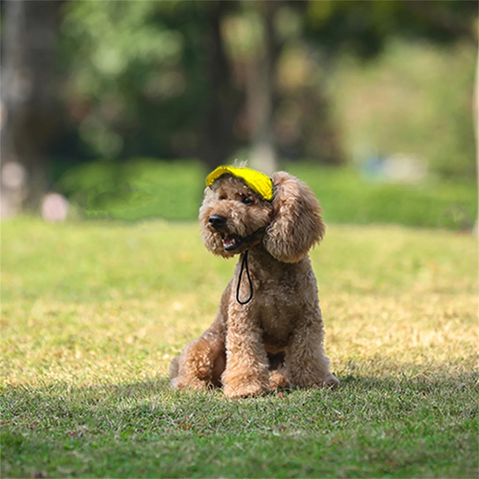 PawShade™ Dog Sun Hat – Stylish Outdoor Protection for Your Fur Baby