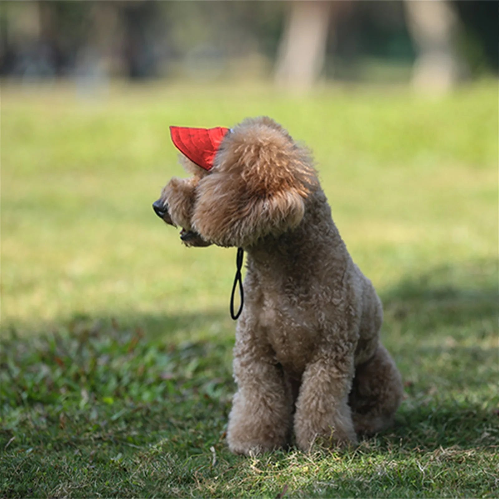 PawShade™ Dog Sun Hat – Stylish Outdoor Protection for Your Fur Baby