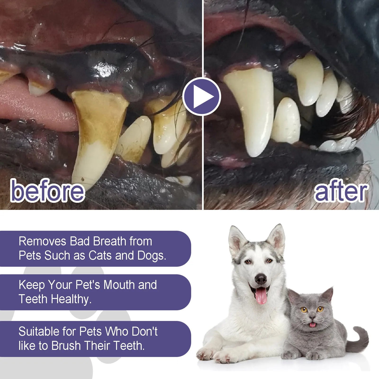 CloudPet™ FreshSmile – No-Brush Dental Gel for Dogs & Cats