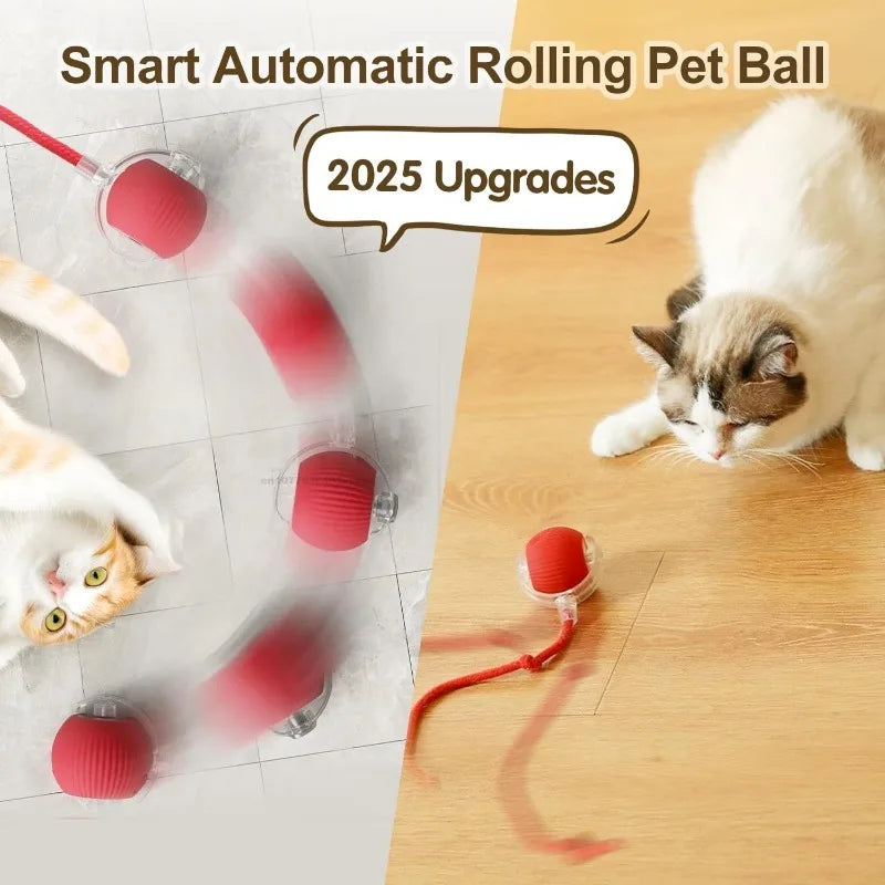 PawChase™ - Smart Rolling Ball for Cats & Small Dogs