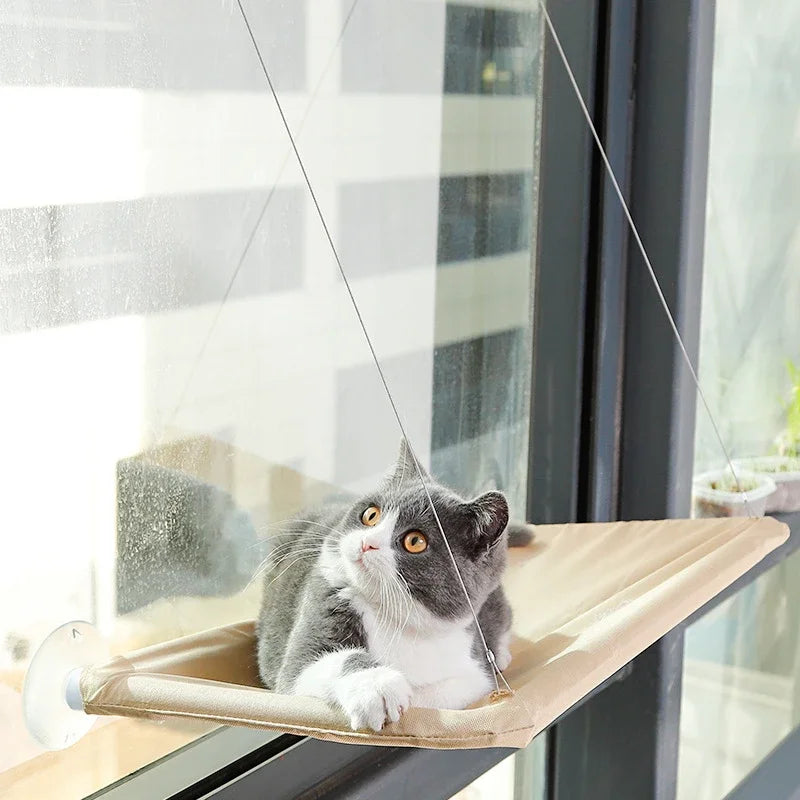 CloudView™ - Window Hammock for Cats