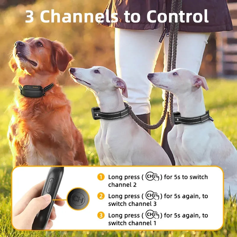 CloudPet™ CalmTrainer Collar – Gentle Bark Control & Smart Training for Happy Dogs
