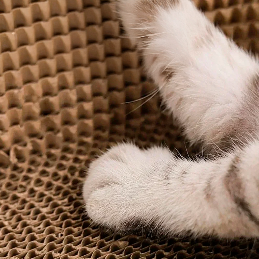 Purrfect Scratch & Snooze™ – Cat Lounge and Scratcher in One