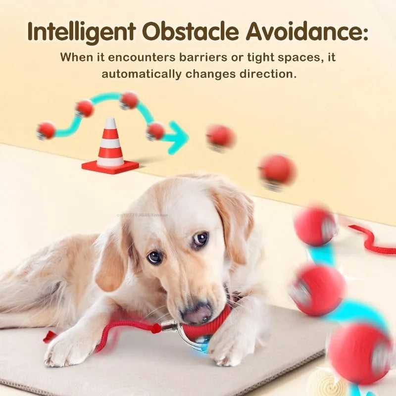 PawChase™ - Smart Rolling Ball for Cats & Small Dogs