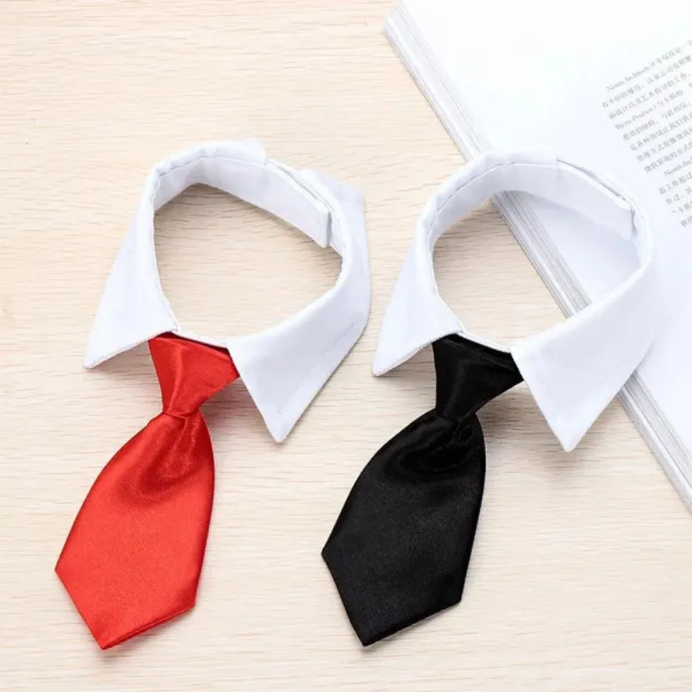 The Pawfessional Tie – Formal Collar for Dapper Dogs & Classy Cats