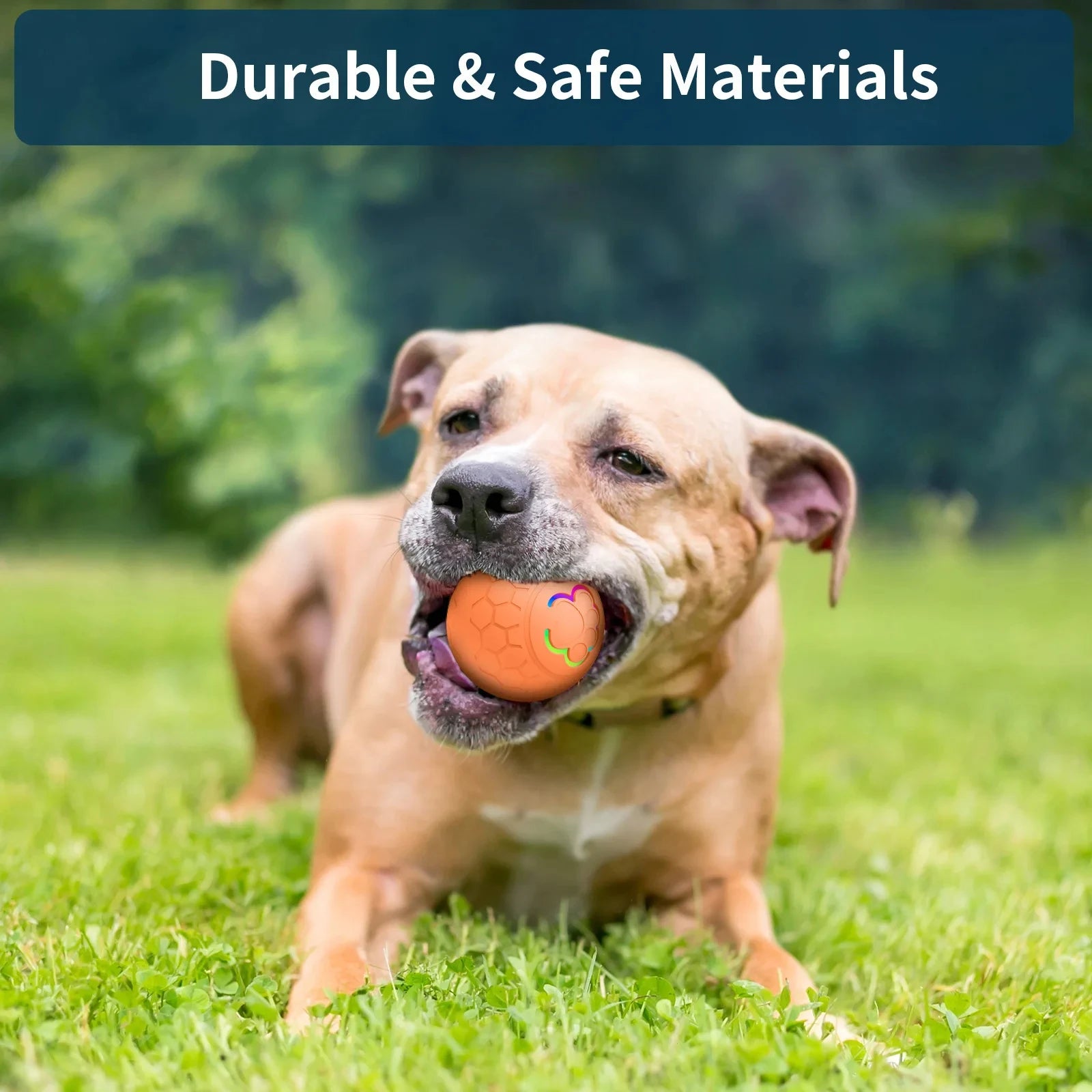 Interactive Self-Moving Toy for Dogs & Cats – Lights, Motion, Joy!