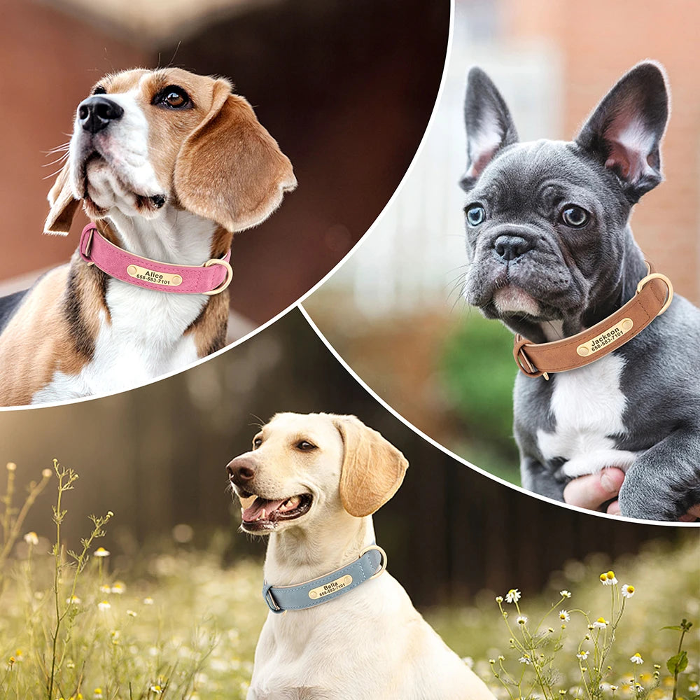 CloudPet™ Personalized Leather Pet Collar – Custom Engraved Name & Number Tag