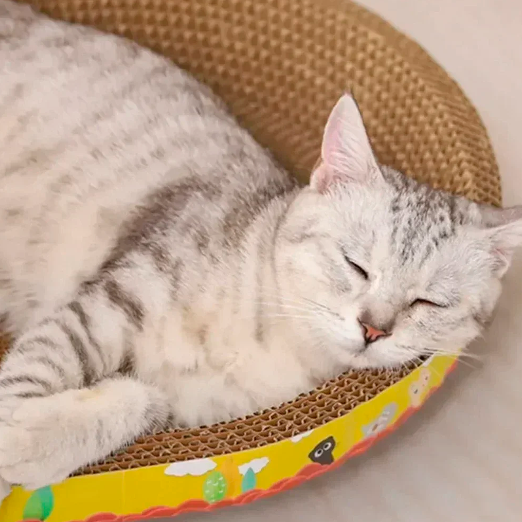 Purrfect Scratch & Snooze™ – Cat Lounge and Scratcher in One