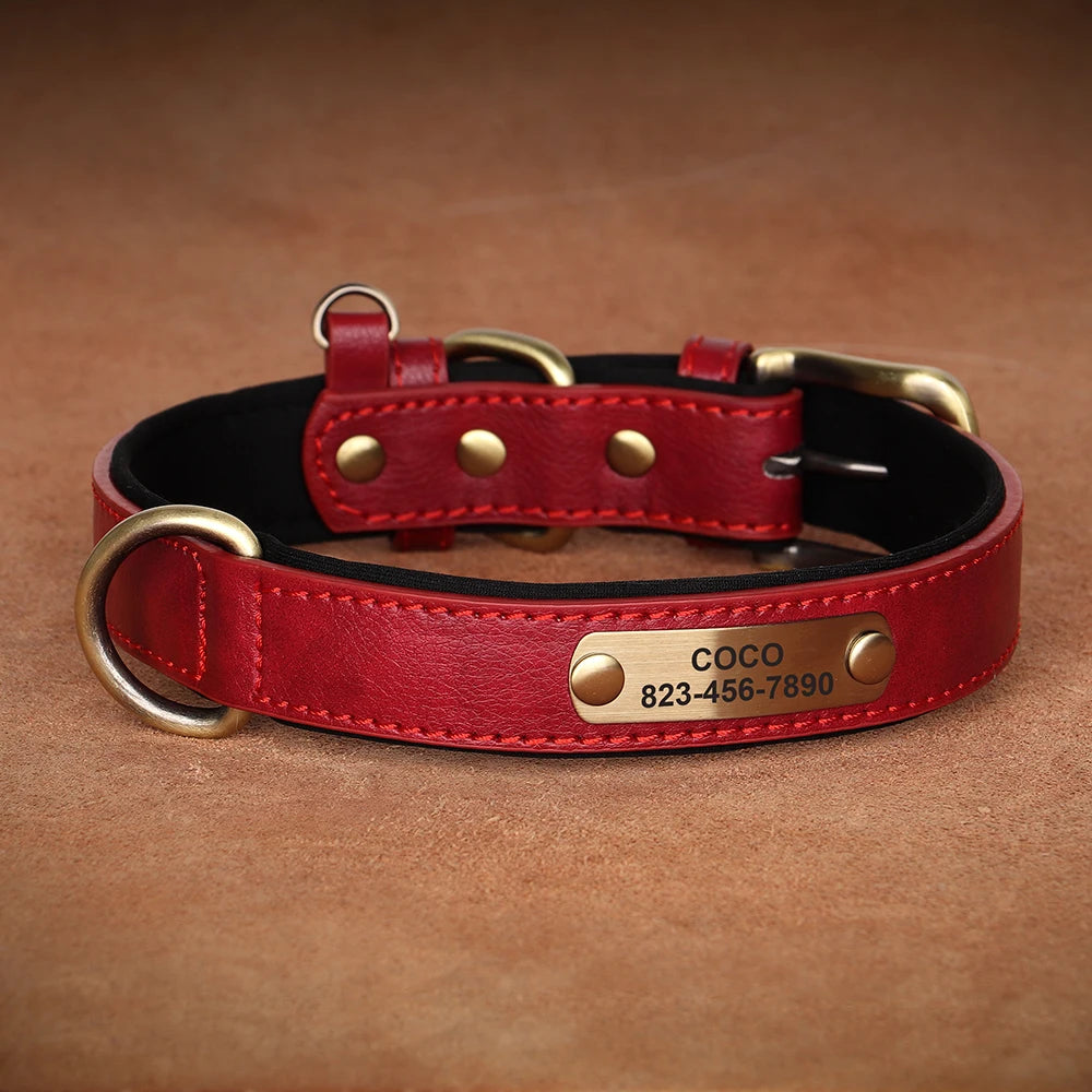 CloudPet™ Personalized Leather Pet Collar – Custom Engraved Name & Number Tag