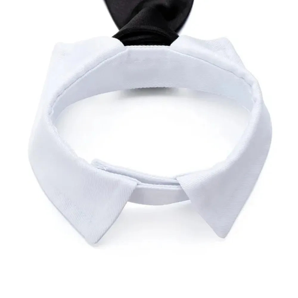 The Pawfessional Tie – Formal Collar for Dapper Dogs & Classy Cats