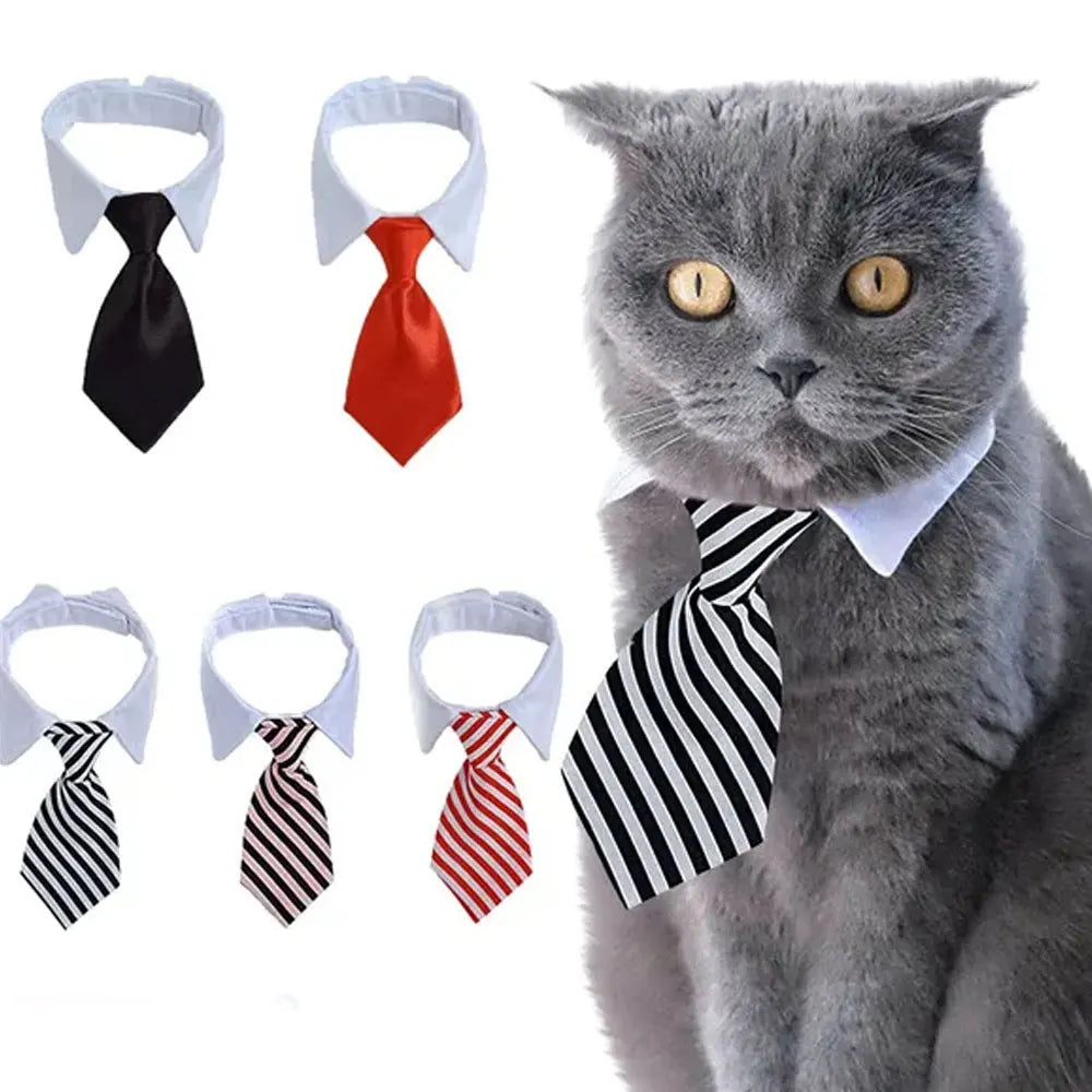The Pawfessional Tie – Formal Collar for Dapper Dogs & Classy Cats