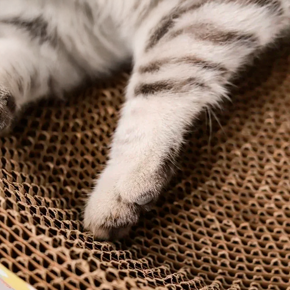 Purrfect Scratch & Snooze™ – Cat Lounge and Scratcher in One
