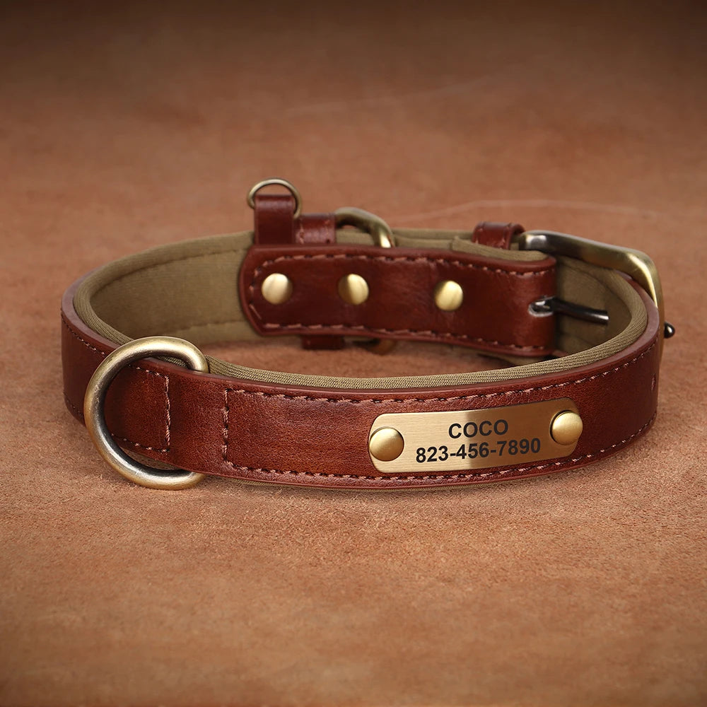 CloudPet™ Personalized Leather Pet Collar – Custom Engraved Name & Number Tag