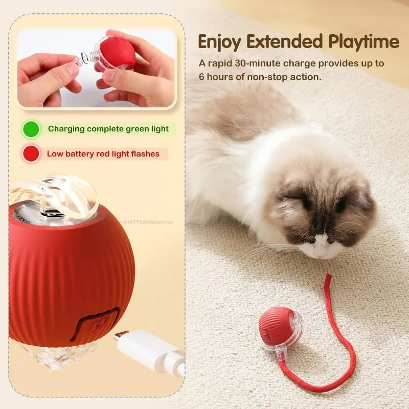 PawChase™ - Smart Rolling Ball for Cats & Small Dogs