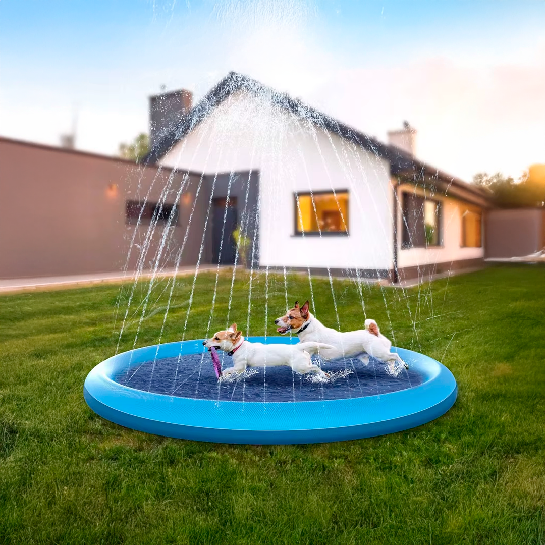 CloudPet Swimming pet Pool: Endless Summer Fun for Your Dog
