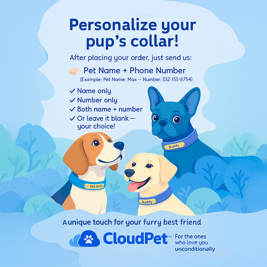 CloudPet™ Personalized Leather Pet Collar – Custom Engraved Name & Number Tag