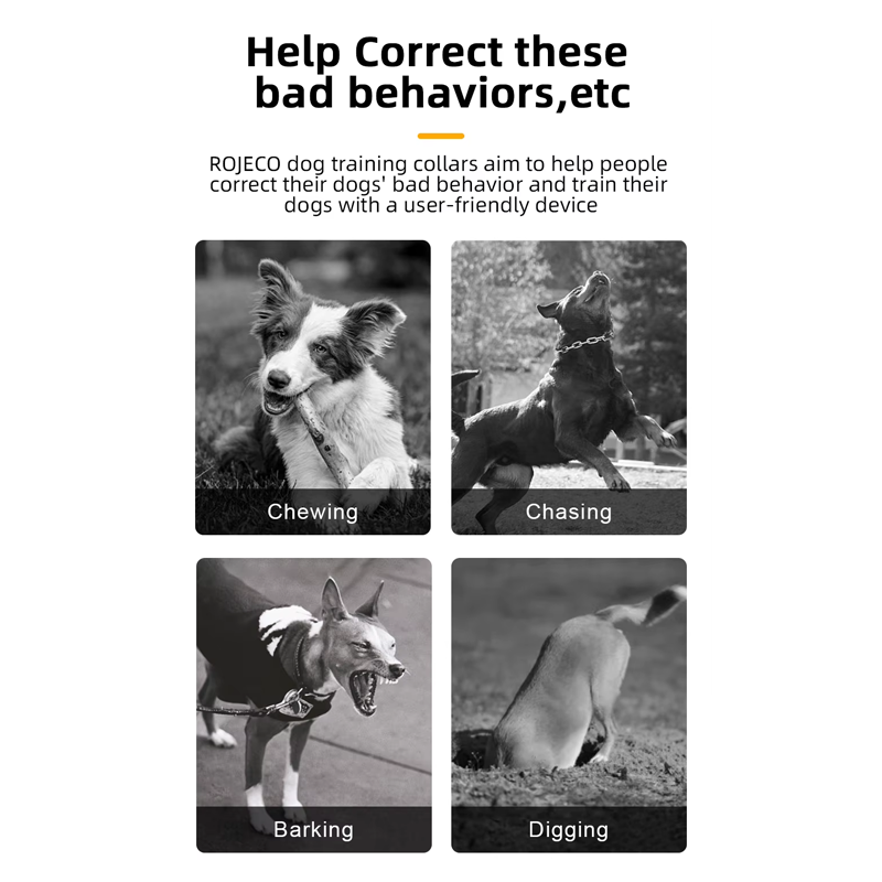 CloudPet™ CalmTrainer Collar – Gentle Bark Control & Smart Training for Happy Dogs